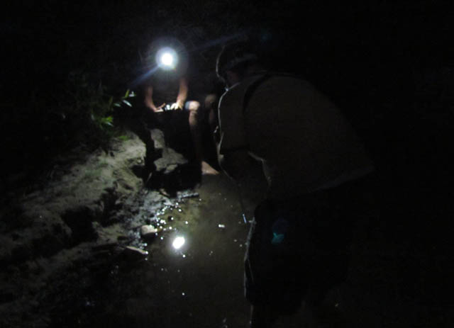 Herpers Herping